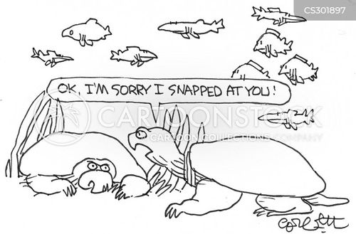 Snapper turtle cartoons and ics