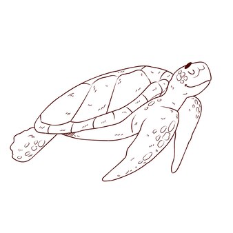 Page snapping turtle images