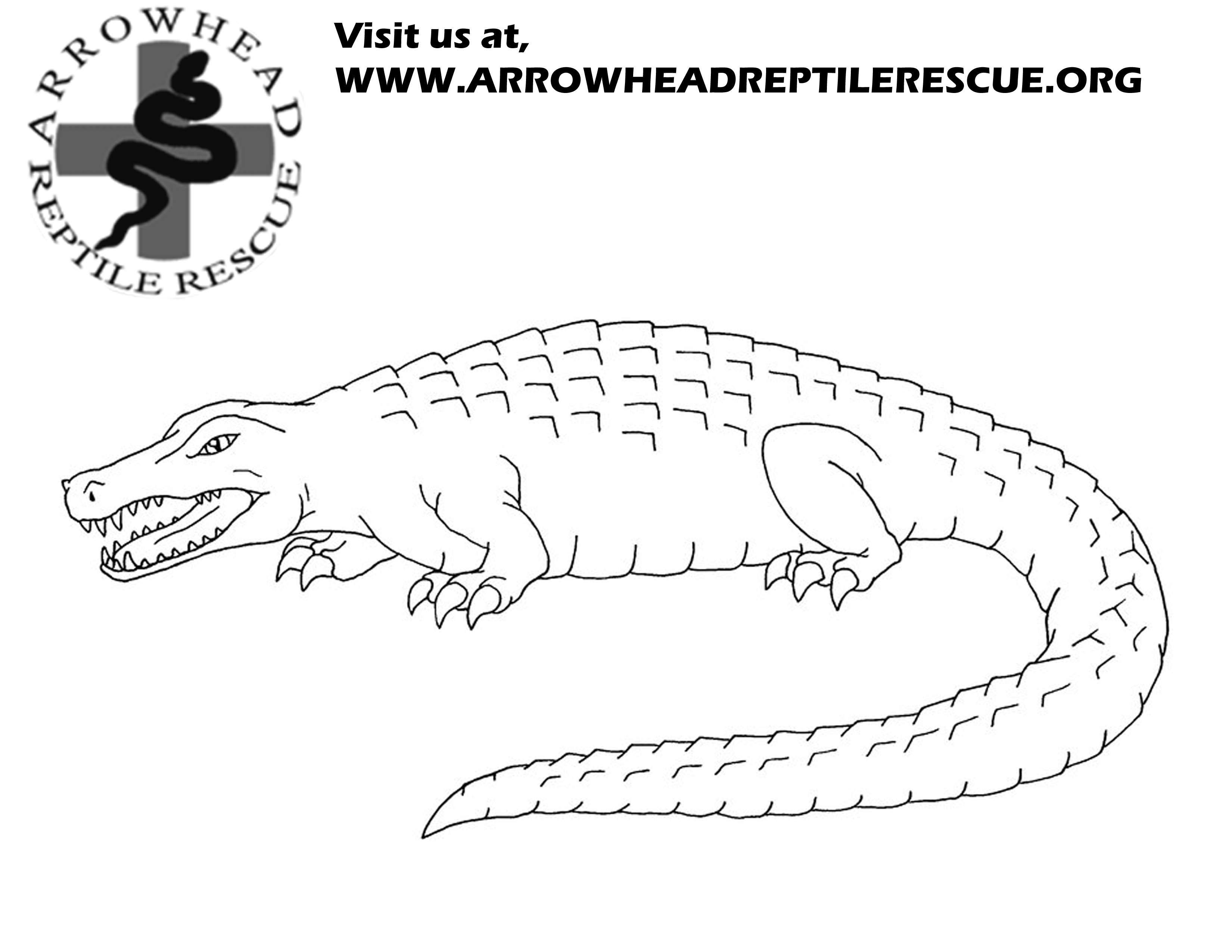 Arrowhead reptile rescue