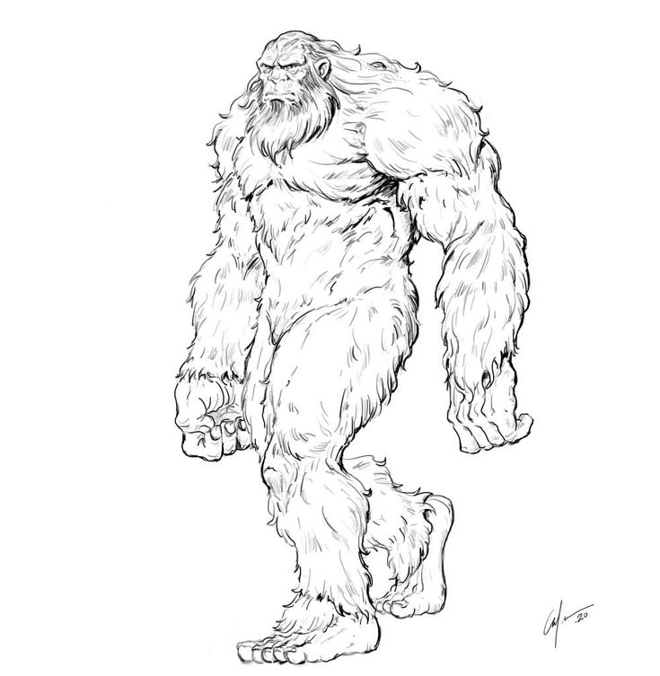 How to draw bigfoot learn to draw a sasquatch in easy steps