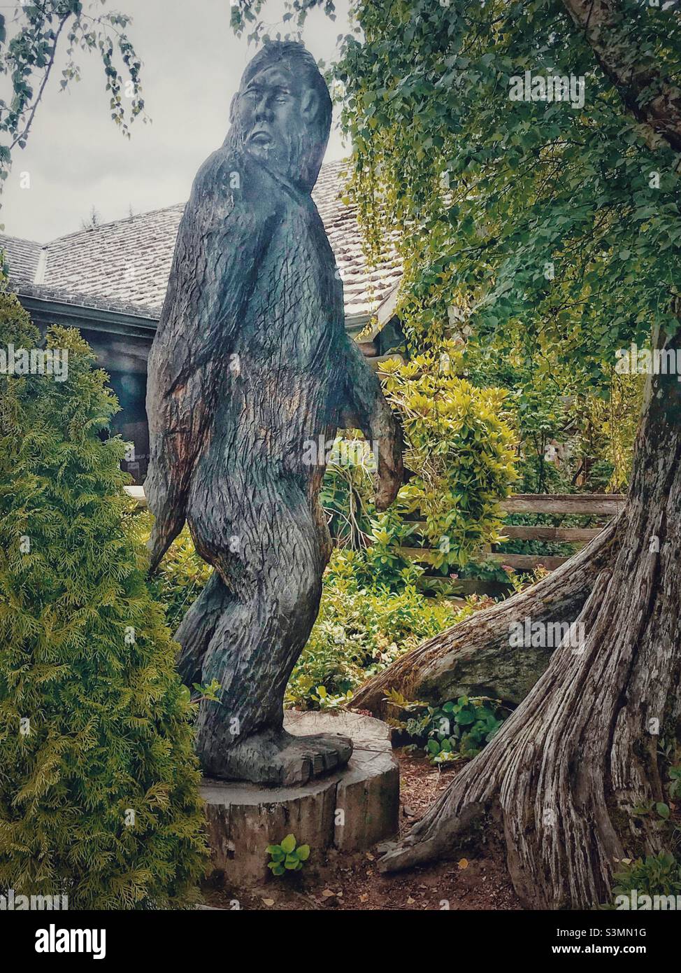 Big foot sasquatch hi
