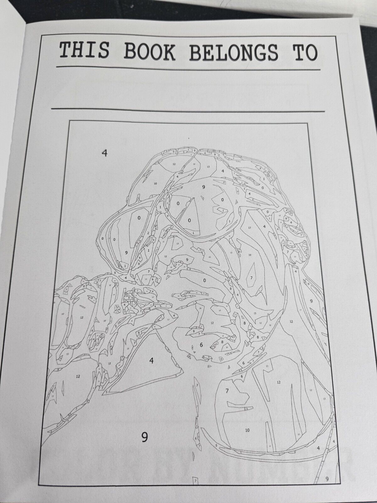 Snoop dogg coloring book one of a kind independently published