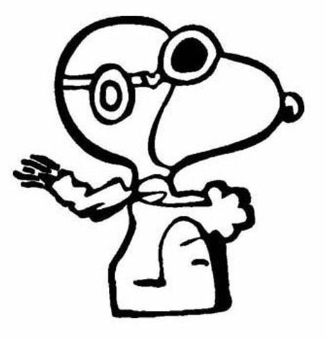 Snoopy cornhole decal sticker cornhole stop