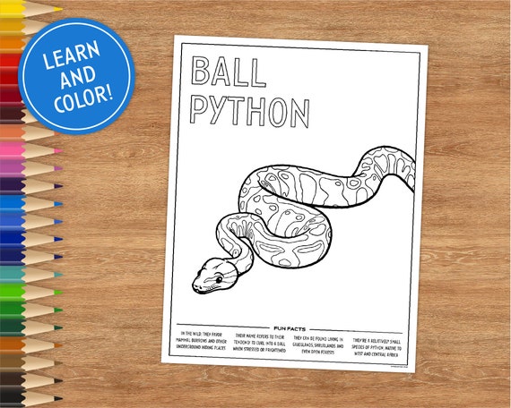 Printable coloring page ball python includes fun facts coloring pages for kids coloring pages printable digital download snake