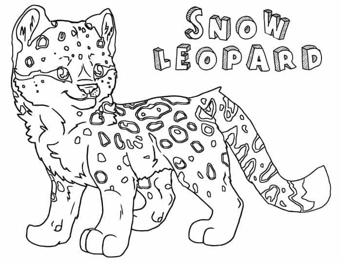 Snow leopard coloring pages coloring pages snow leopard cat coloring page