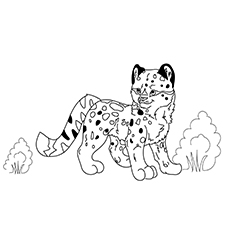 Top free printable leopard coloring pages online