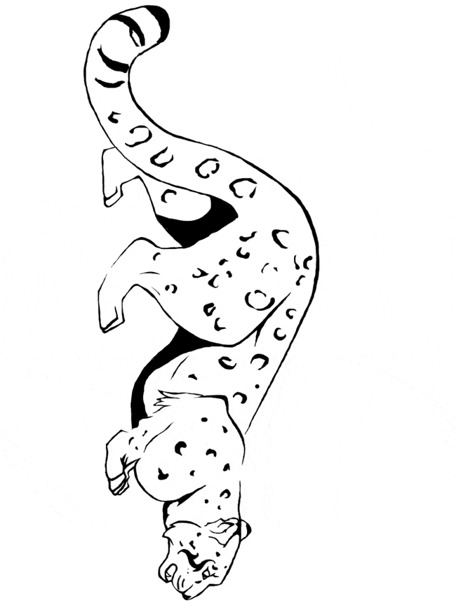 Snow leopard coloring page