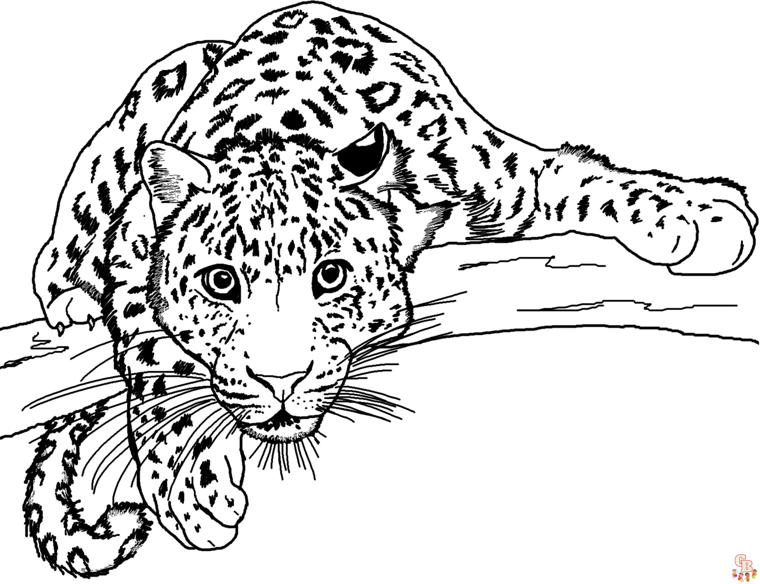 Leopard coloring pages