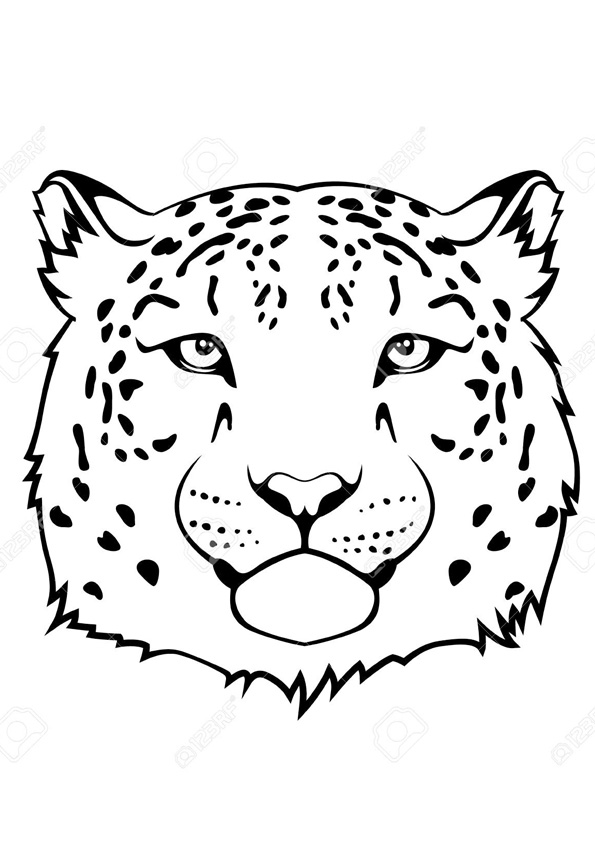 Coloring pages snow leopard coloring pages