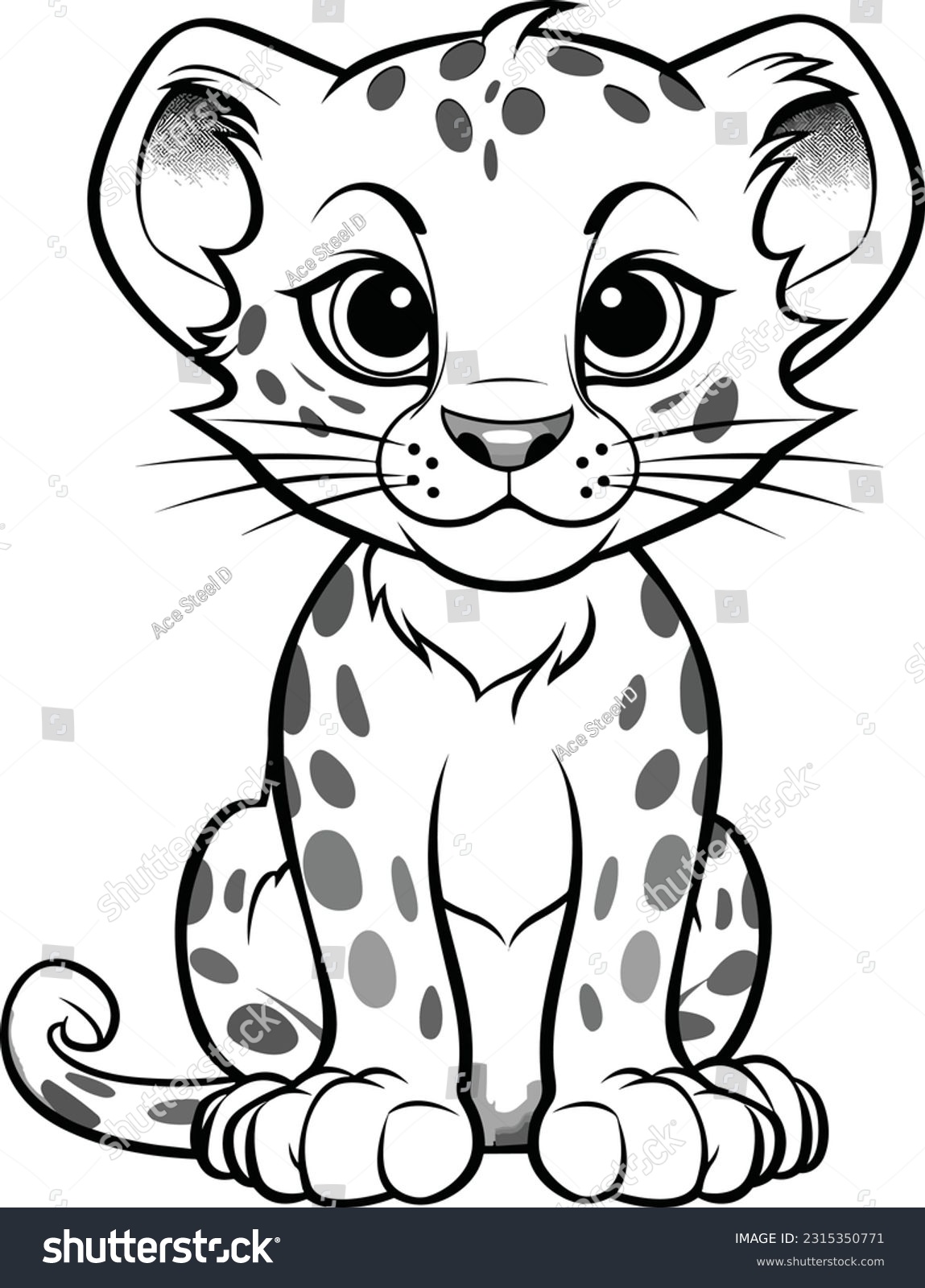 Leopard colouring book images stock photos d objects vectors