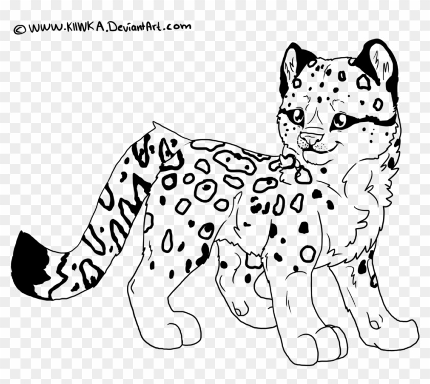 Snow leopard coloring pages awesome leopard print coloring