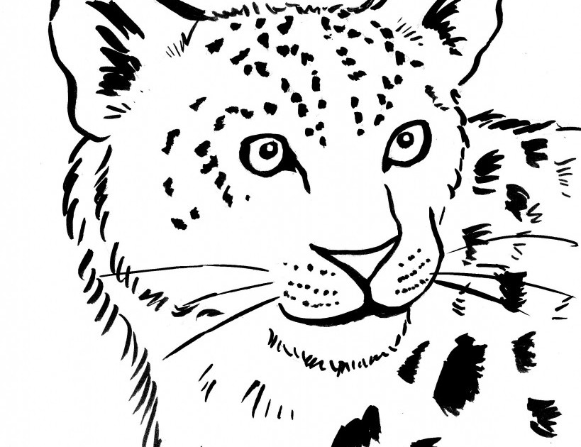 Snow leopard coloring page