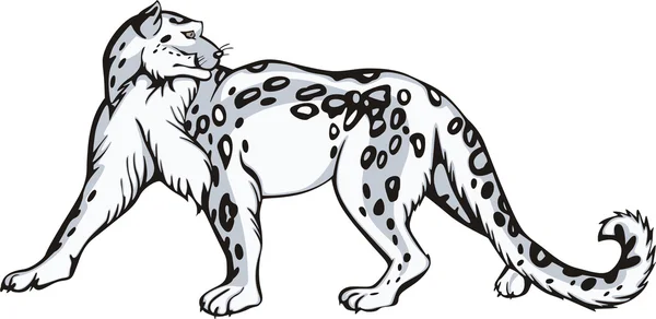 Snow leopard vector images
