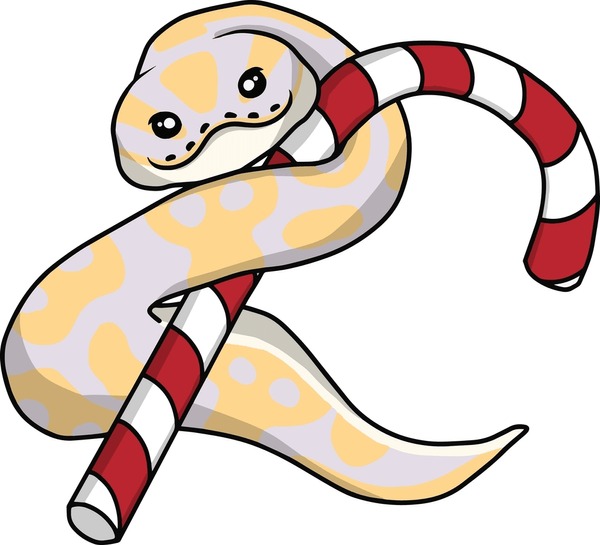 Thousand christmas snake royalty