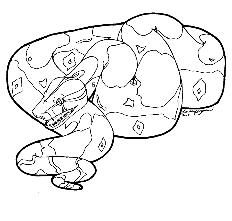Ball python coloring page
