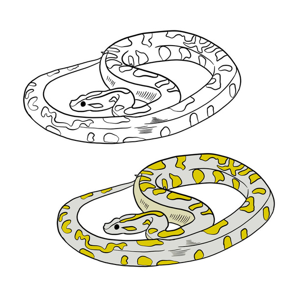 Snake tattoo free stock photos images and pictures of snake tattoo