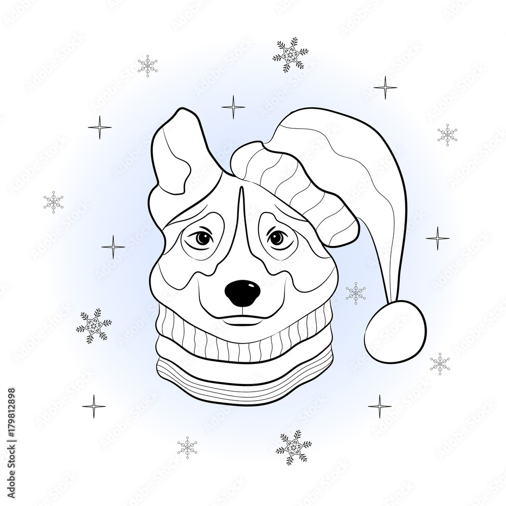 Head of dog in winter hat and scarf on snowflakes background pet in winter suit hand draw sketch of australian shepherd coloring page for children and adults vector illustration vector