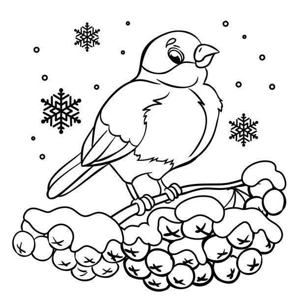 Winter coloring pages stock illustrations royalty