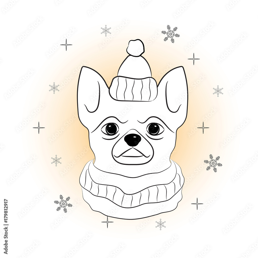 Head of dog in winter hat and scarf on snowflakes background pet in winter suit hand draw sketch of chihuahua coloring page for children and adults vector illustration vector