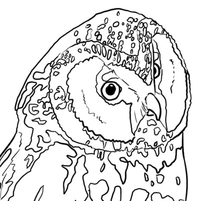 Coloring pages