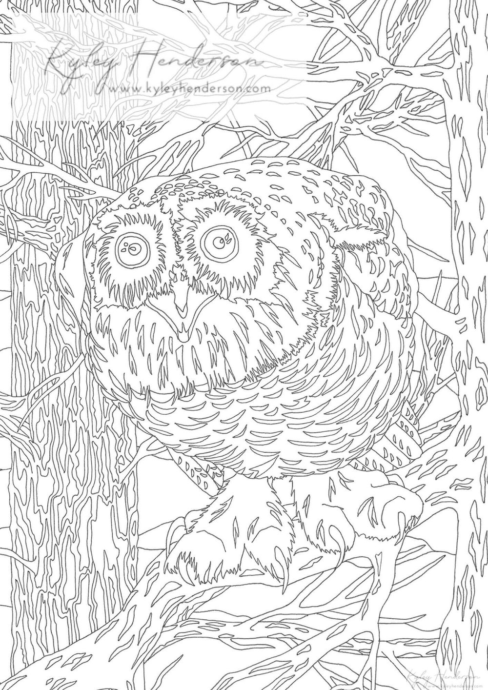 Snowy owl adult coloring pages owl coloring page digital instant download coloring sheet of an owl â kyley henderson art