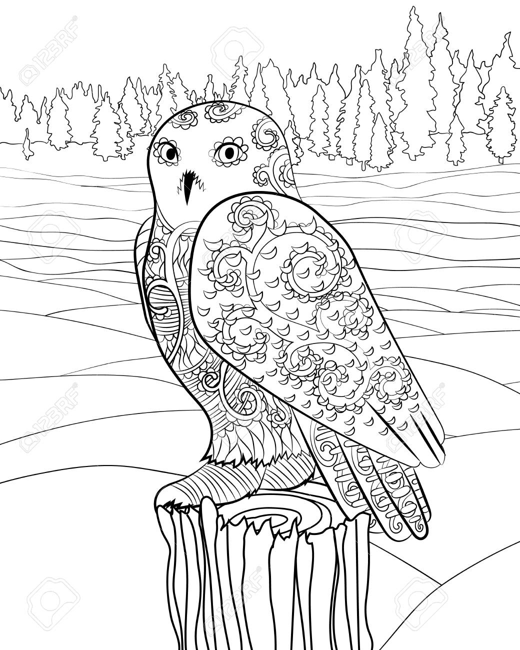High detailed illustration of an snowy owl adult coloring page with polar owl vector illustration royalty free svg cliparts vectors and stock illustration image