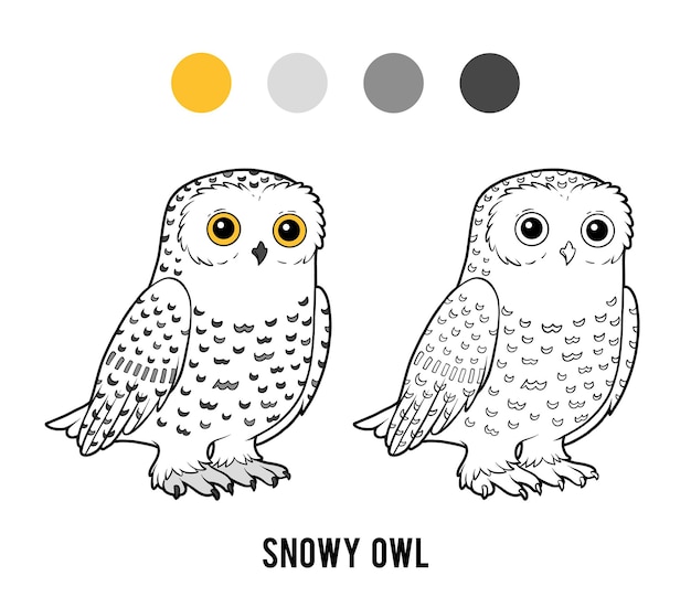 Premium vector coloring book snowy owl