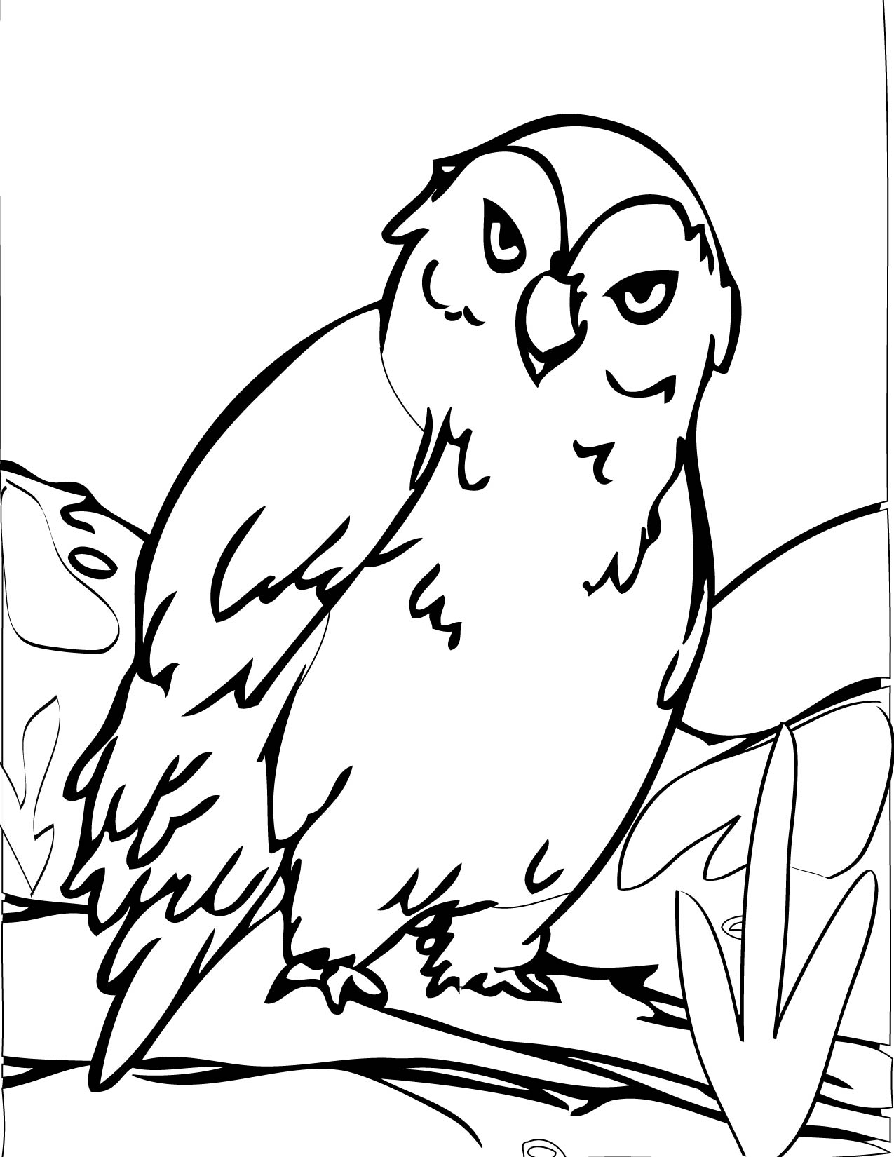 Free printable owl coloring pages for kids