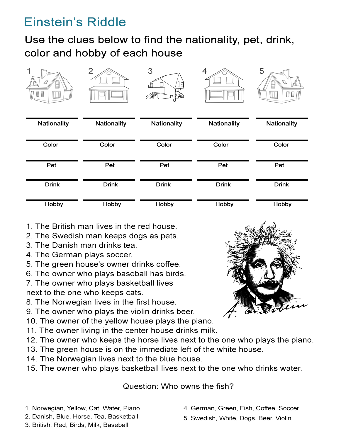 Einsteins riddle detective