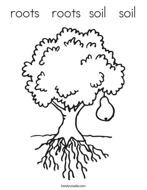 Roots roots soil soil coloring page