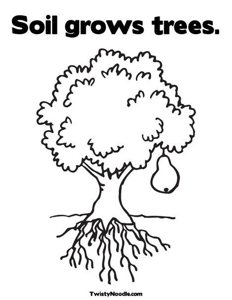 Soil grows trees coloring page tree coloring page coloring pages coloring pages nature