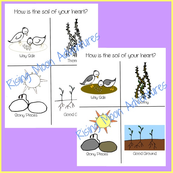 Soils of the heart coloring page and colored display page download