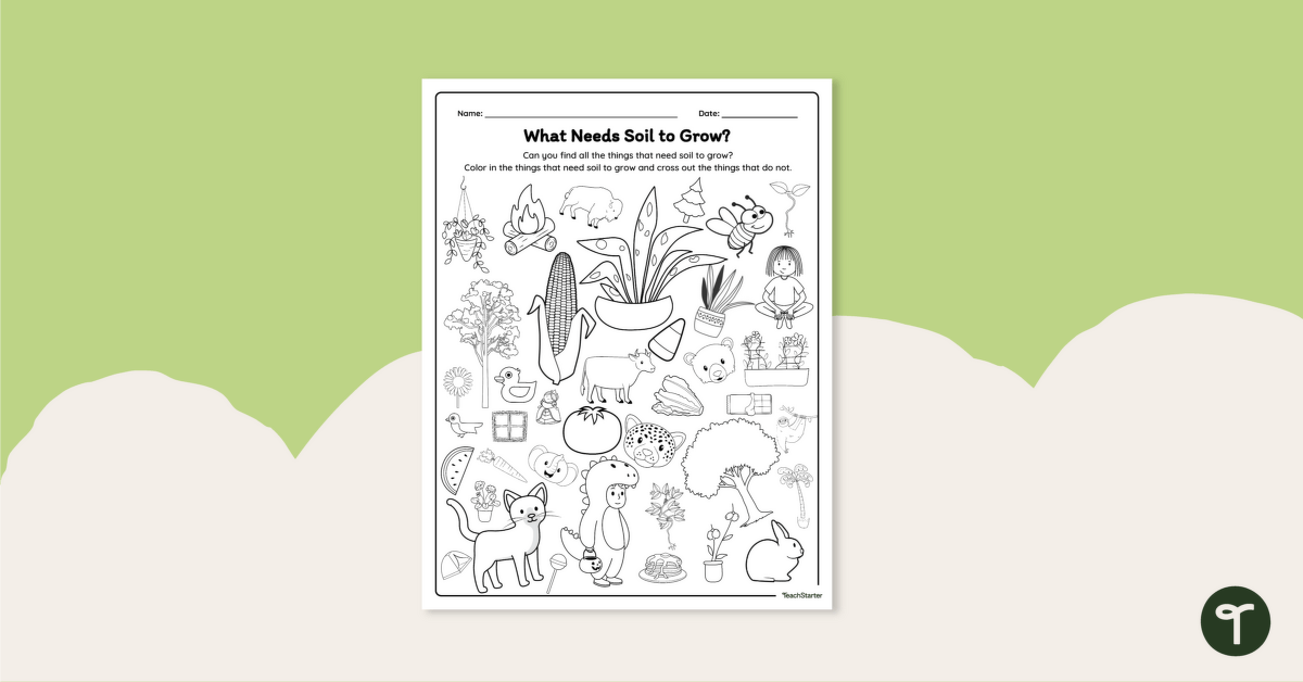 What needs soil to grow coloring worksheet teach starter