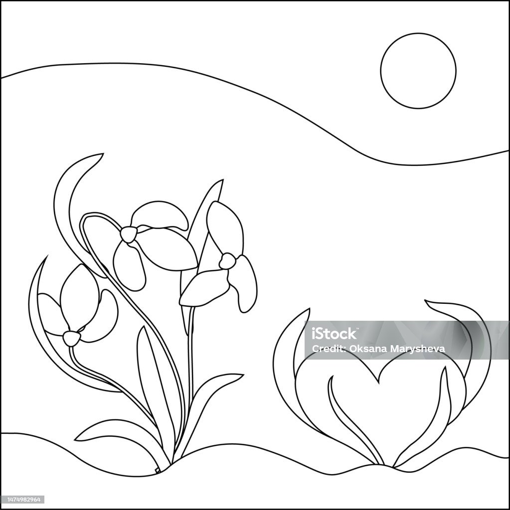 Coloring page snowdrops and heart like snowdrops growing from the soil vector line art flowers stock illustration
