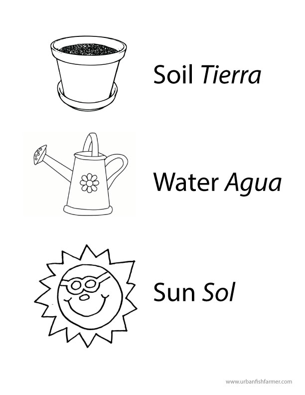 Garden coloring pictures