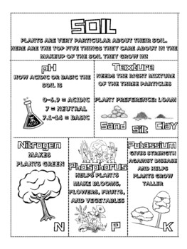 Soil doodle notes coloring sheet by science with dani tpt