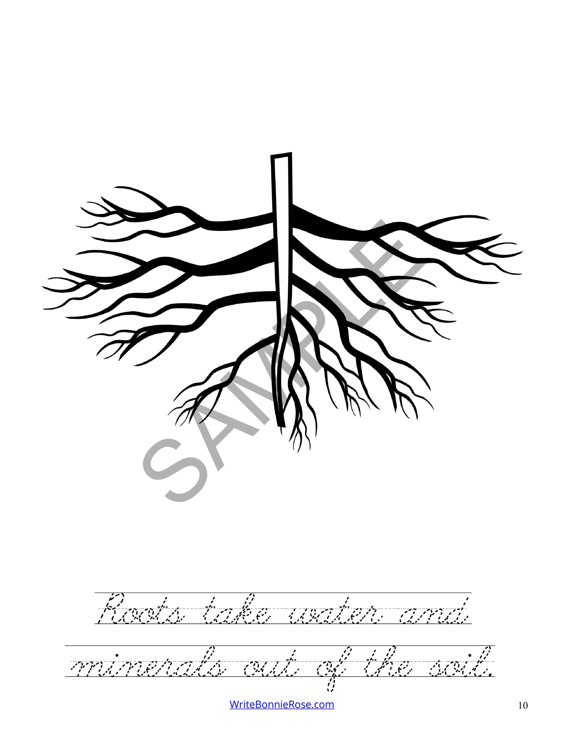 Questions answers coloring book about science plants