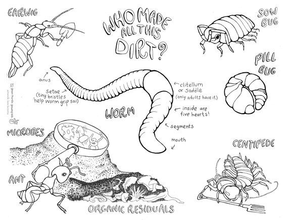 Who made the dirt coloring sheet gardening post garden coloring pages coloring pages coloring pages for boys