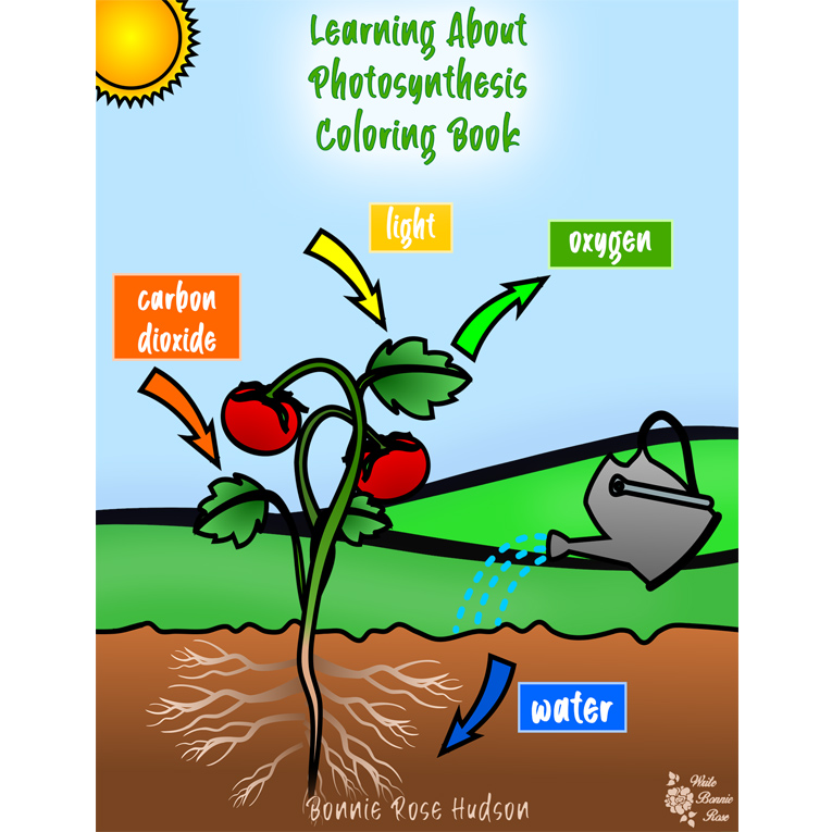 Learning about photosynthesis coloring book