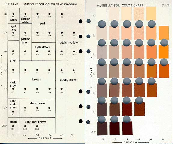 Make your own soil color book