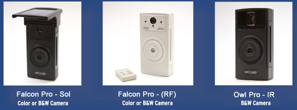 Security products security