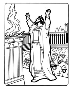 Solomon coloring by mrfitz tpt
