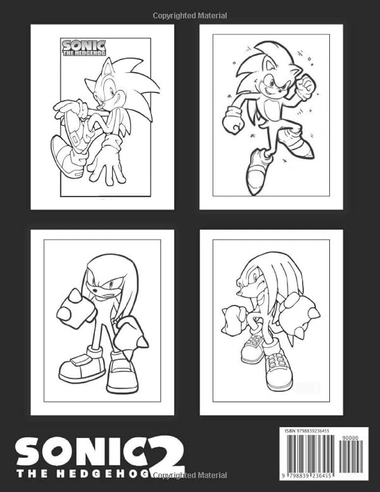 Sãnic coloring book for kids of all ages us edition sãnic the hedgehog coloring book for kids