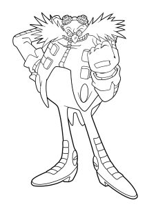 Sonic the hedgehog