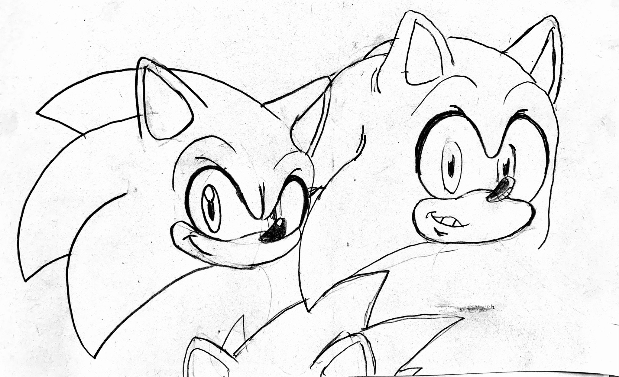 Raine rudnick on x two and a half sonics httpstcohveplsa x