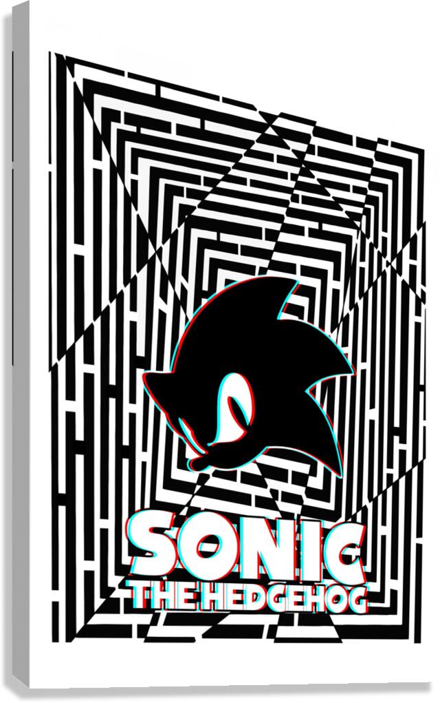 D maze gaze sonic the hedgehog