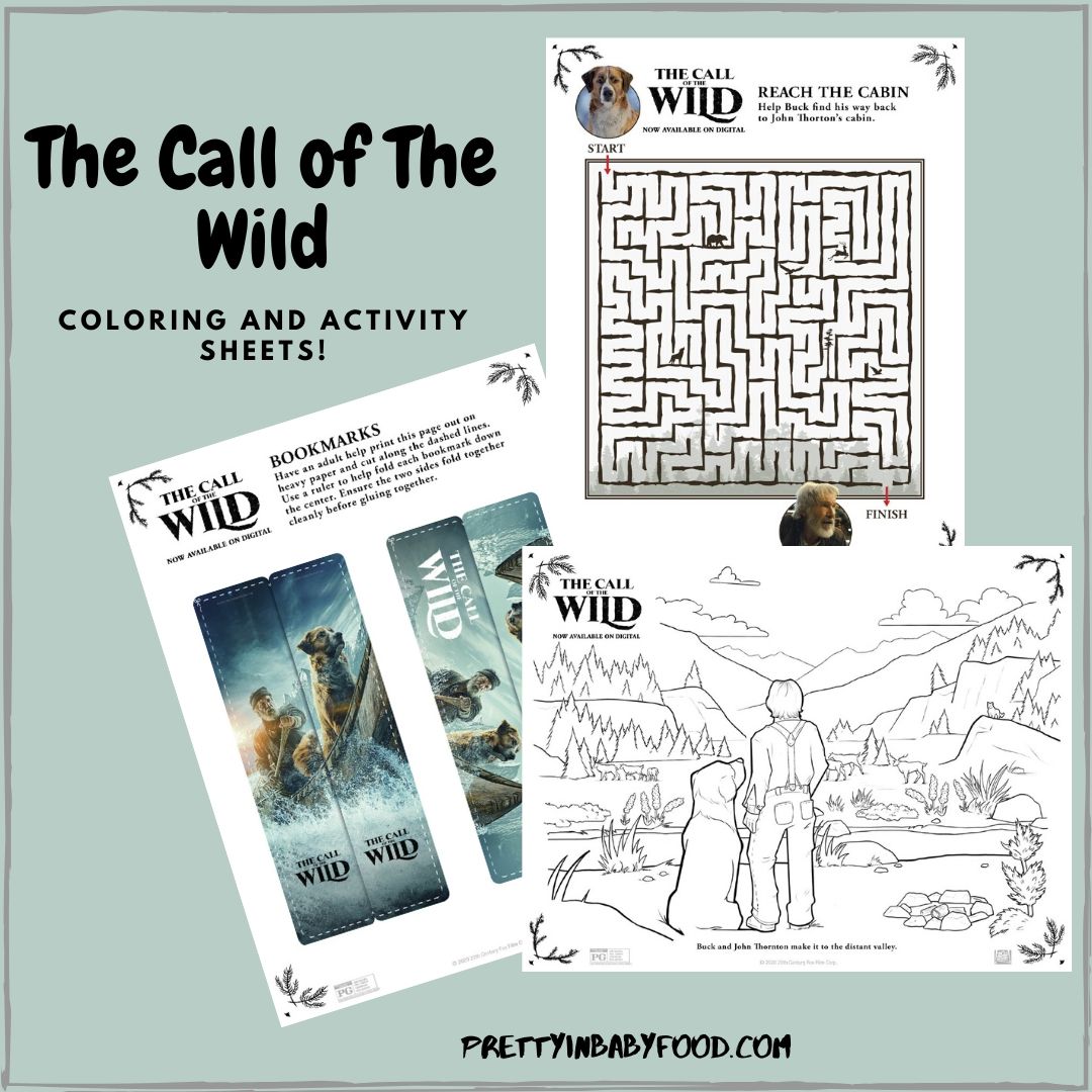 The call of the wild coloring and activity sheets