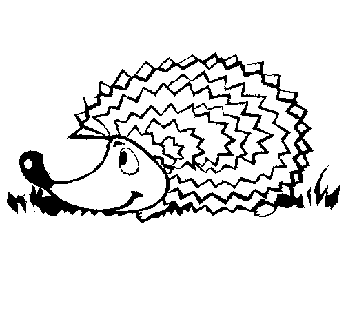 Hedgehog coloring page