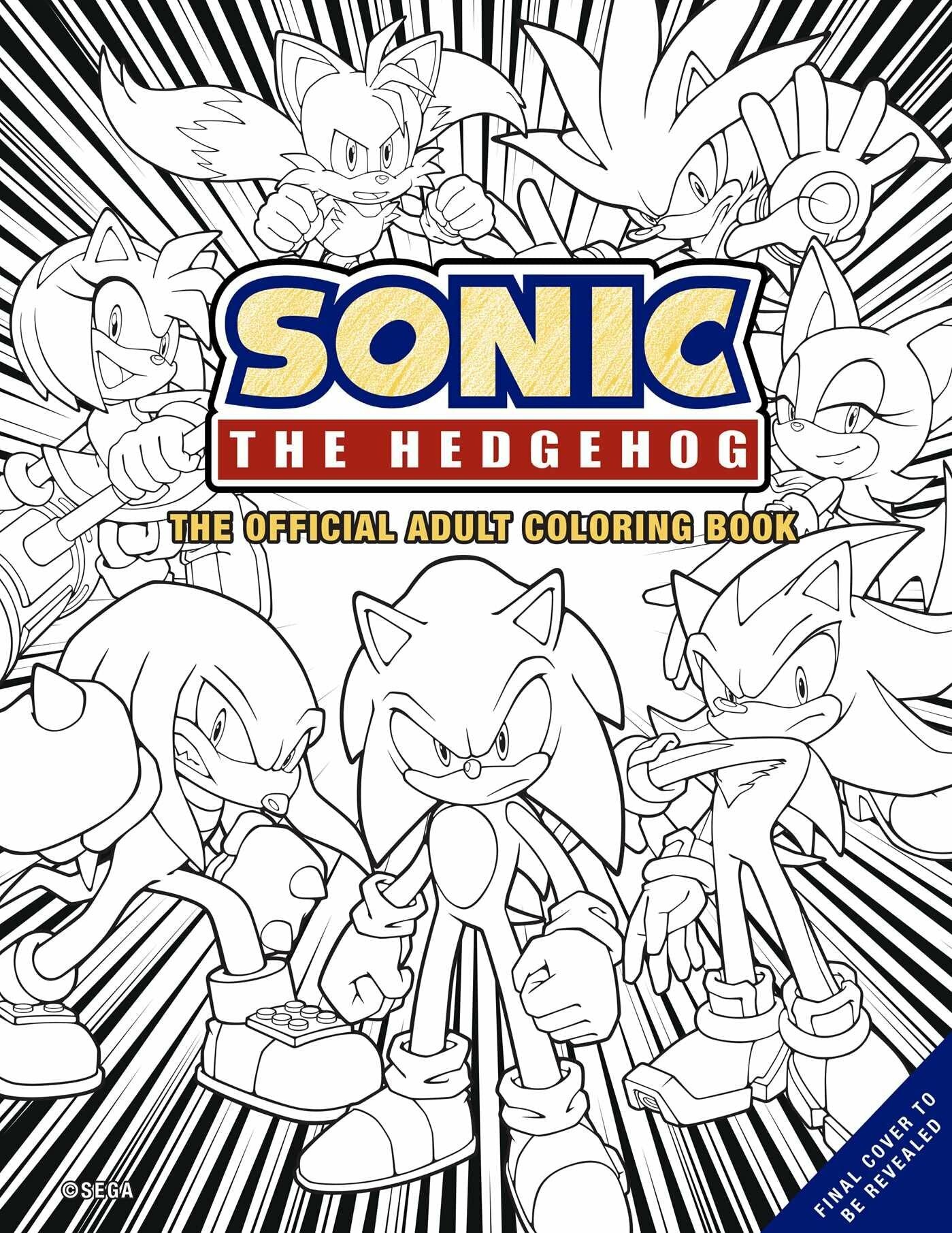 Amazon listing for official sonic adult coloring book emerges