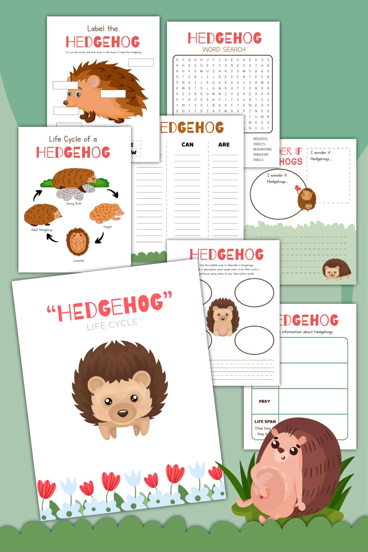 Free hedgehog worksheets printable